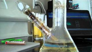 Long Beach Strain Review: Black Label Kush