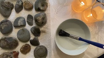🐚 ASMR ~ My Fossil Collection ~ Fossil Cleaning ~ Relaxing Water & Brush Sounds ~ Whispering 🐚