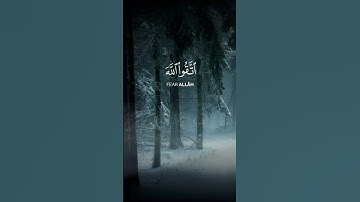 سورة المائدة الآية 35 بصوت القارئ محمد الفقيه