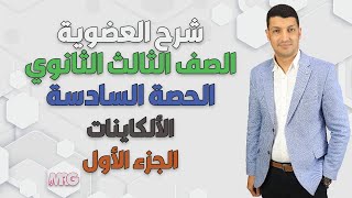 مع اقوى شرح لدرس 