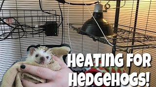 Hedgehog Care: Heat Setup (Ceramic Heat Emitter) + Heat Alternatives
