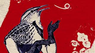 We Will Listen - Rachel Newton