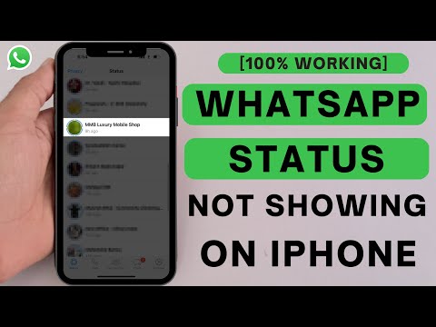 Whatsapp Status Not Showing On IPhone - [FIXED]