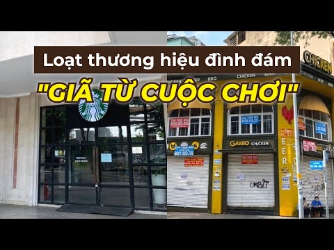 Video Loạt thương hiệu lớn không thể cầm cự, thị trường mặt... - youtube