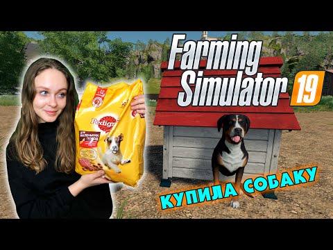 ПЕРВЫЕ ЖИВОТНЫЕ - Farming Simulator 19 МОИ ПЕРВЫЕ КУРОЧКИ
