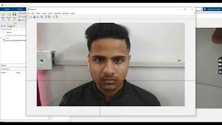 Golden Ratio with Face Correlation(GRFC) - MATLAB Final Project screenshot 4