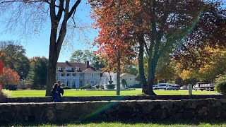 Why I Chose Endicott College