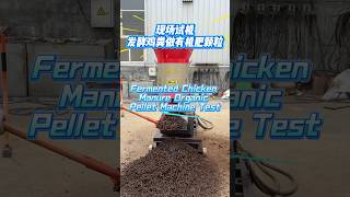 Fermented Chicken Manure Organic Pellet Machine Test #pelletmachine #pelletmill #pellets