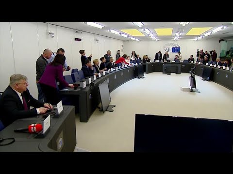 ევროპარლამენტში ასოცირების ხელშეკრულების ფარგლებში “ქართული ოცნების” დოკუმენტი ჩავარდა