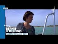 "Bernie il delfino" - Stasera 6 giugno ore 22 su TV2000