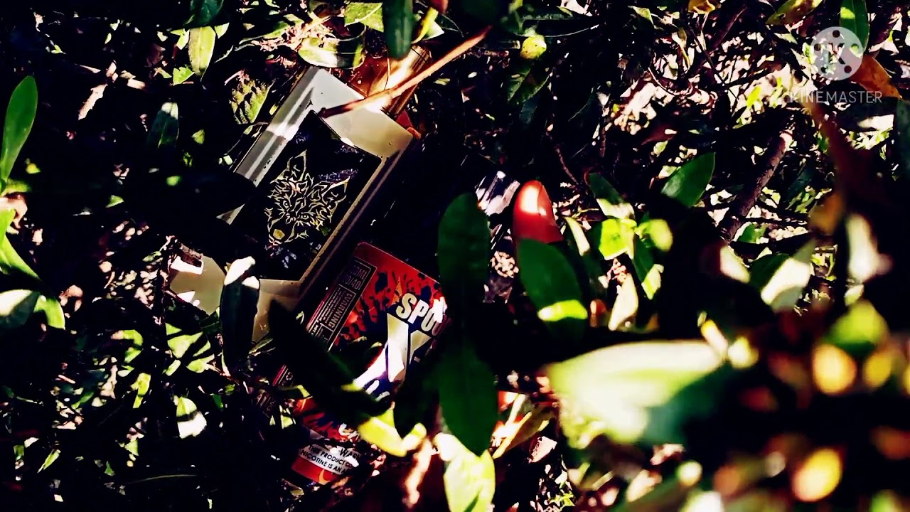 VAPE SNOW WOLF MFENG UX 200    /MOONTAGE