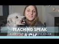HOW TO TRAIN YOUR DOG TO SPEAK - 4 EASY STEPS HOW TO TRAIN YOUR DOG TO SPEAK - 4 EASY STEPS