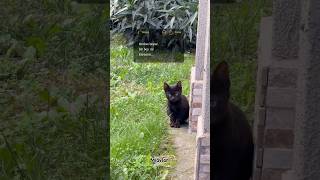 Şarkı Çok Iyi 🥹😻 Resimi