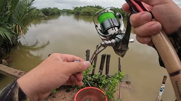 Thử đi câu cá chẽm trời bão mưa tầm tả 1 đêm 1 ngày … và cái kết