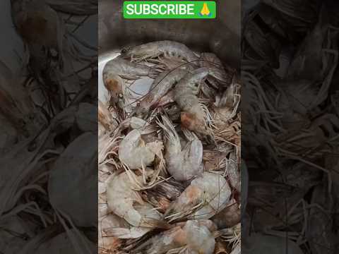 ବାସି ପଖାଳ ଭାତ ସହିତ ଚିଙ୍ଗୁଡ଼ି ଭଜା @MOLIFESTYLELIPU #molifestylelipu #odisha #vlog #vairal #food