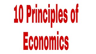 10 Principle of Economic screenshot 3