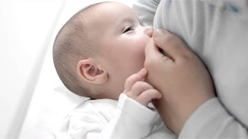 The First Two Years Body and Mind: A Brief Overview