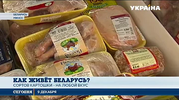 Сколько стран окружают Беларусь