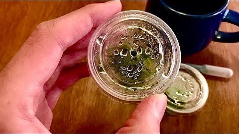 Java Moss Tissue Cultures!!! | Making Adjustments (Part 2)