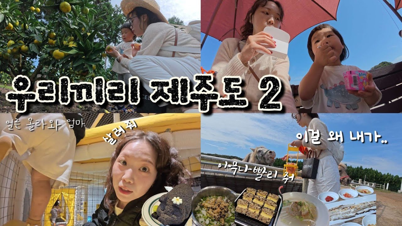 아이랑 둘이 제주도여행 2, 39개월 아이랑 제주도, 제주도 맛집, 에코랜드, 말 먹이주기, 보메와산 귤따기체험, 함덕고갈치, 제주해양동물박물관, 안도르카페, 연옥, 아르떼키즈파크
