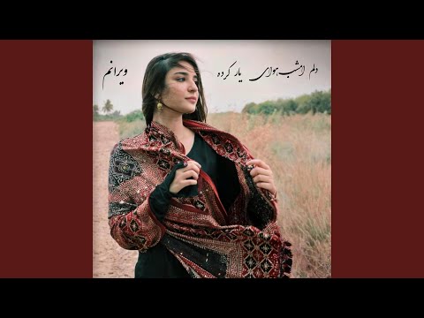 دلم امشب هوای یار کرده ویرانه