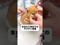初めてのワクチン、最後まで頑張った柴犬🐶　　#子犬　#柴犬　#犬　#いぬ　#可愛い犬