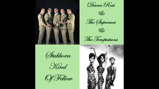 Watch Supremes Stubborn Kind Of Fellow video