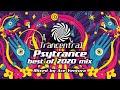 Best Psytrance of 2020 mix by Ace Ventura [Trancentral Mix #056]