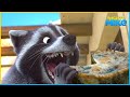 Rancid raccoons  mighty mike  50 compilation  cartoon for kids