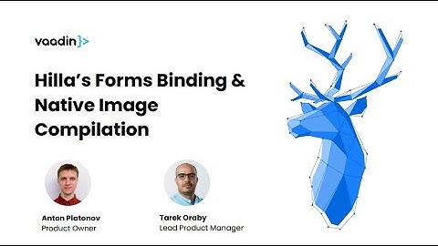 Webinar: How To Harness Hilla’s Forms Binding & Native Image Compilation for Maximum Impact