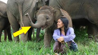 You Would Never Guess What This Woman Does To Soothe This Elephant!