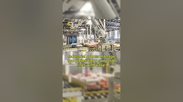 Industrial robots manage two palletizing production lines with ease.#robot#automation