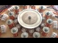 SEG Replication Video 28