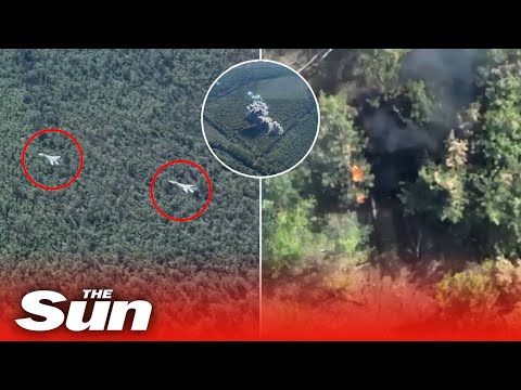 Ukrainian forces release footage showing Su-24 jets providing close air support