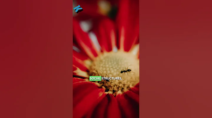 🐜 5 CRAZY Ant Facts You Didn't Know! | The Secrets of Nature Unveiled!