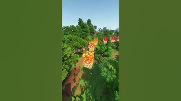 Finding Strength in Solitude: A Journey of Self-Discovery