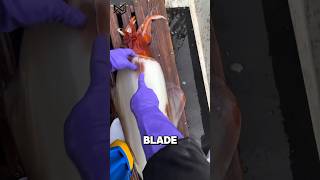 How Traditional Fishermen Process Giant Squid at Sea 🦑