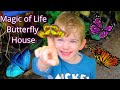 MAGIC OF LIFE BUTTERFLY HOUSE | Birthday Celebrations