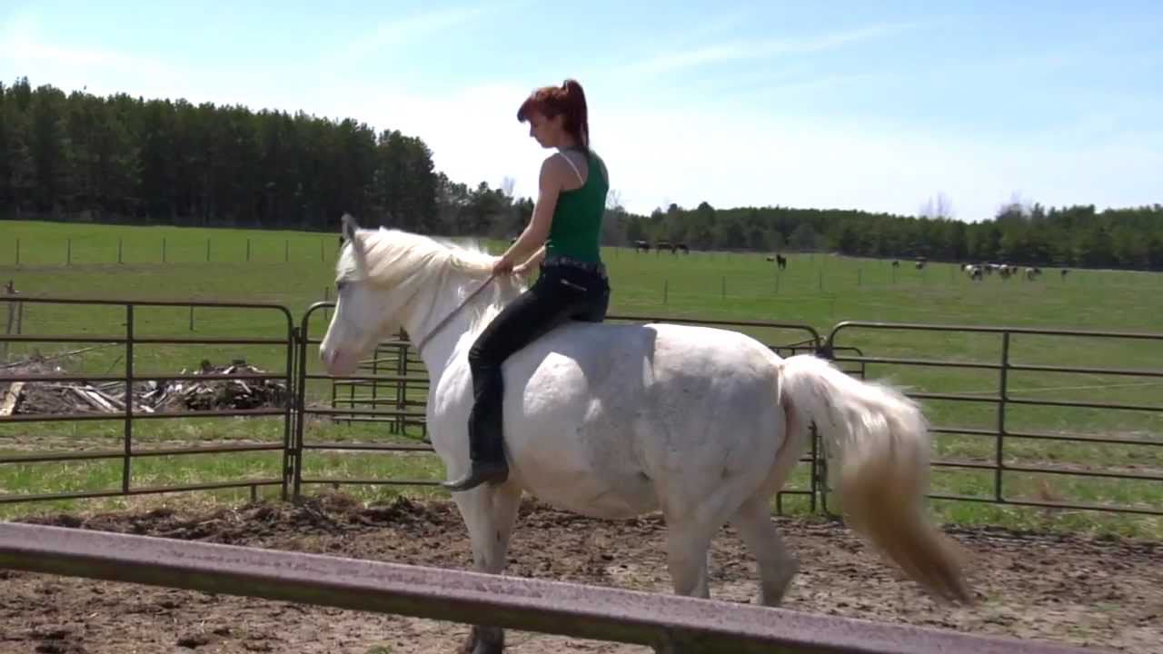 The most incredible place to go horseback riding in Ontario, Canada ☆★☆ YouTube The most incredible place to go horseback riding in Ontario, Canada ☆★☆ YouTube