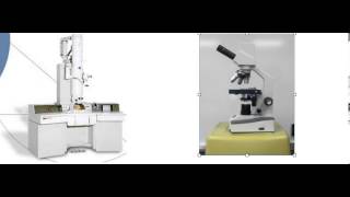 electron microscope vs the light microscope
