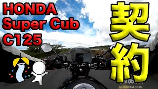 i Signed A Contract For A Honda Super Cub C125 Soranamitoris Tweets 2025