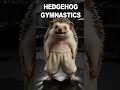 Your new personal trainer just showed up 🦔💪
