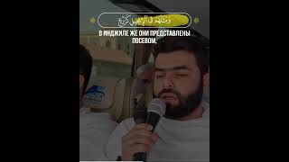 📖 Аль-Фатх  I 27-29 I 🎙 Чтец - Peshawa Qadr Al Kurdi I بيشةوا قادر الكردى