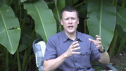 Papua New Guinea—exploring language diversity, part 2