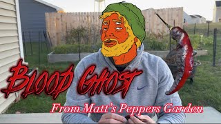 Blood Ghost Pepper Review