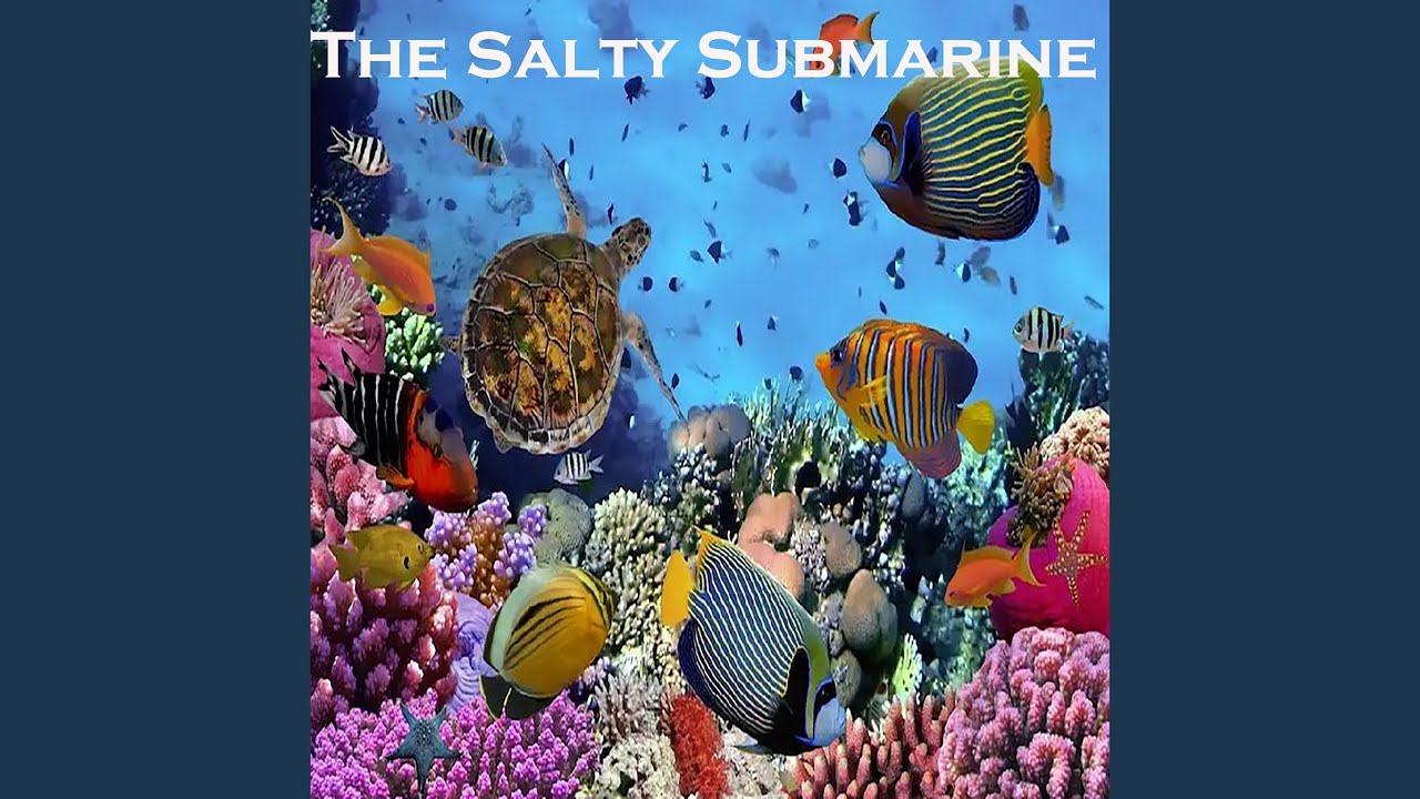Valley of the Dancing Starfish - YouTube