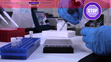 Microbial Identification Workflow Using the MicroSEQ® ID System