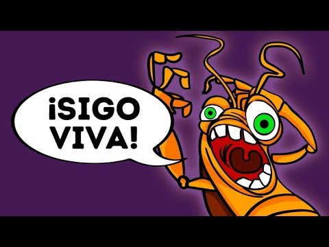 Vídeo: ¿A Dónde Se Han Ido Las Cucarachas? El Misterio Aquí Es Además E450 - Vista Alternativa