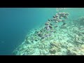 NOVA Maldives - House Reef GoPro 03