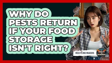 Why Do Pests Return If Your Food Storage Isn